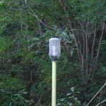 DSCF3885 DSCF3885